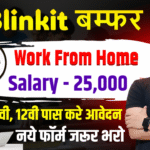 Blinkit Work From Home Recruitment